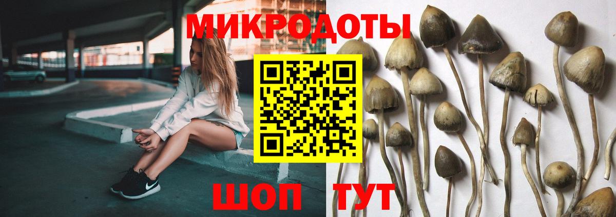 даркнет сайт  Галлюциногенные грибы мухоморы  Вход с VPN  Пыть-Ях  Галлюциногенные грибы прущие грибы 